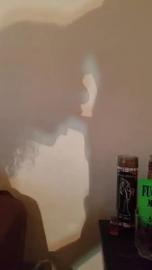 Daisy Ducati [ daisyducati ] Onlyfans leaked video 5001954 on Hotleaks.tv