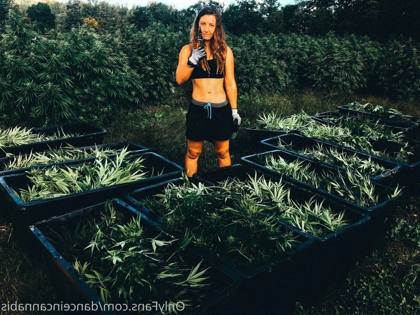 Juliet Jones [ danceincannabis ] Onlyfans leaked photo 5127379 on Hotleaks.tv
