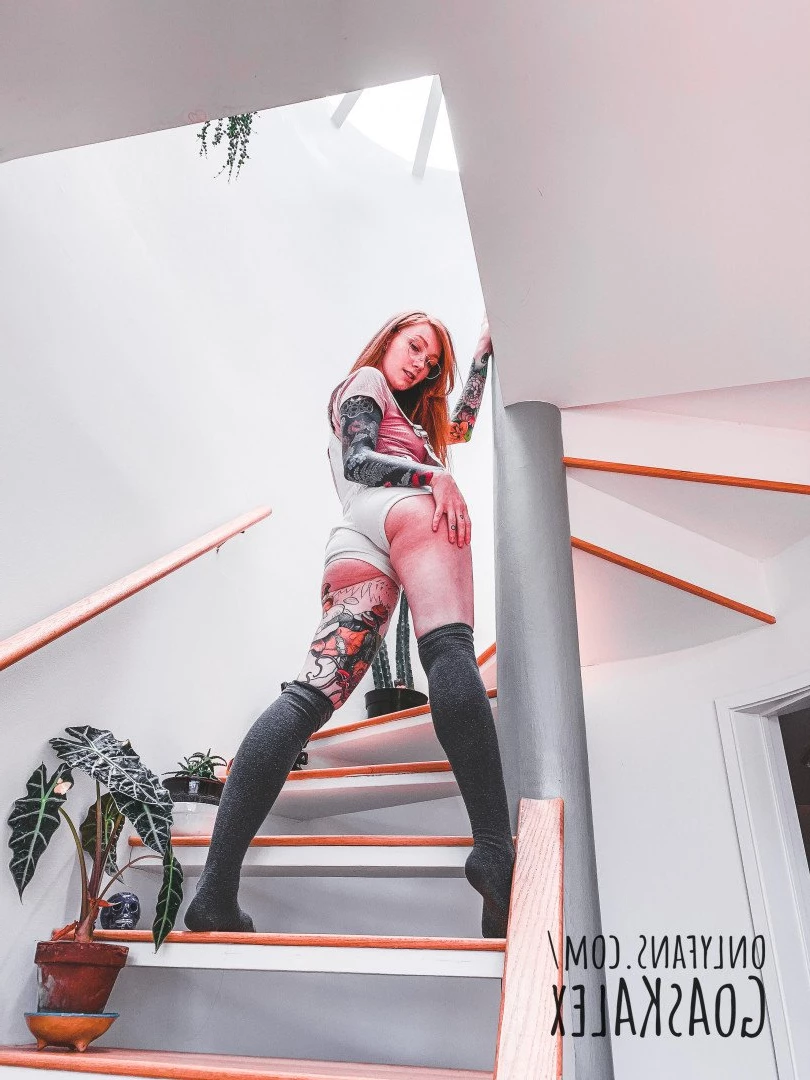 GoAskAlex 𝓃𝒶𝓉𝓊𝓇𝒶𝓁 𝓇𝑒𝒹𝒽𝑒𝒶𝒹 [ goaskalex ] Onlyfans leaked photo 449500 on Hotleaks.tv