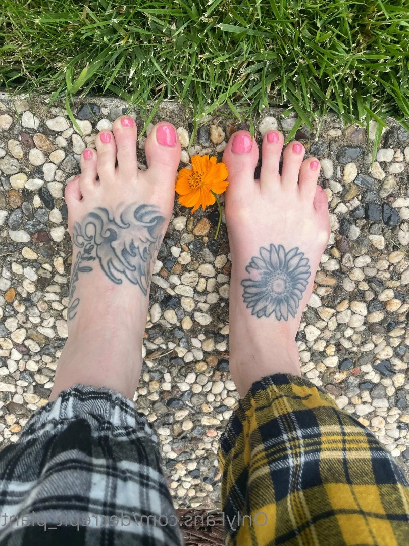 decrepit_plant Onlyfans leaked photo 5191599 on Hotleaks.tv