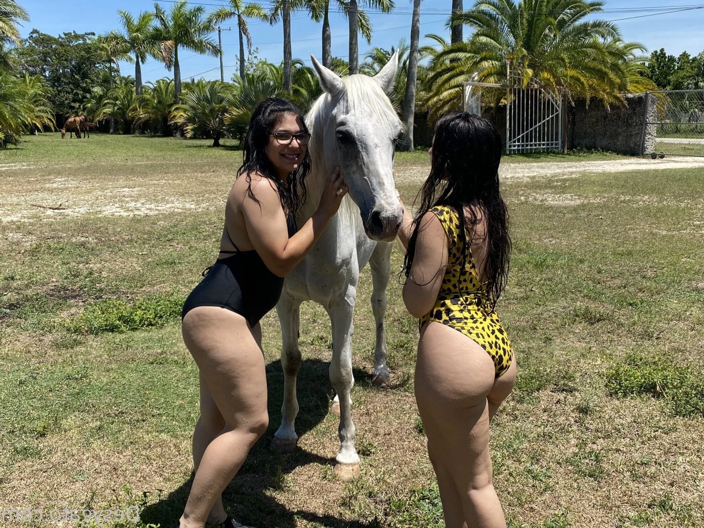 Desy Gato 🖤 [ desygato ] Onlyfans leaked photo 5106784 on Hotleaks.tv