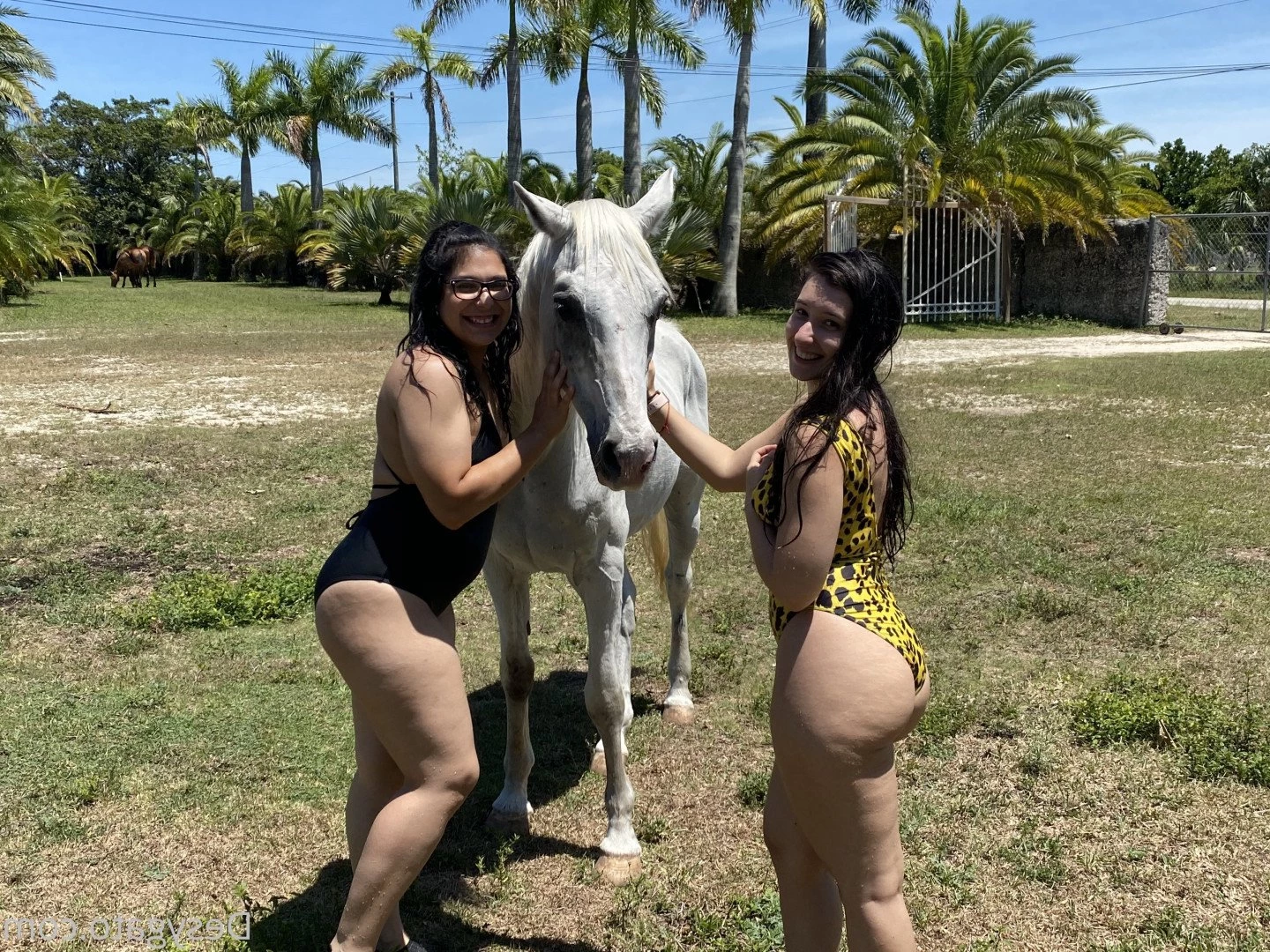 Desy Gato 🖤 [ desygato ] Onlyfans leaked photo 5108885 on Hotleaks.tv