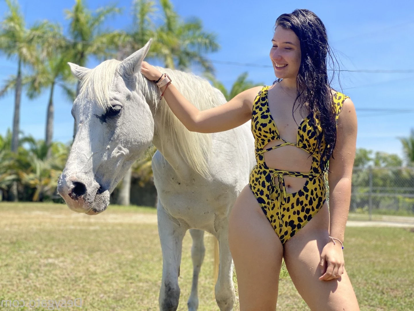 Desy Gato 🖤 [ desygato ] Onlyfans leaked photo 5130238 on Hotleaks.tv