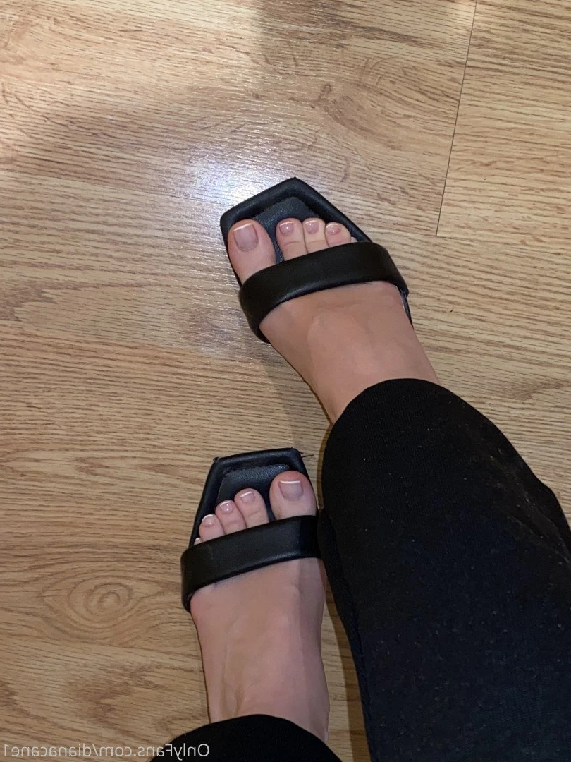 GODDESS DIANA 😏 fetish lover 👅 [ dianacane1 ] Onlyfans leaked photo 5115509 on Hotleaks.tv