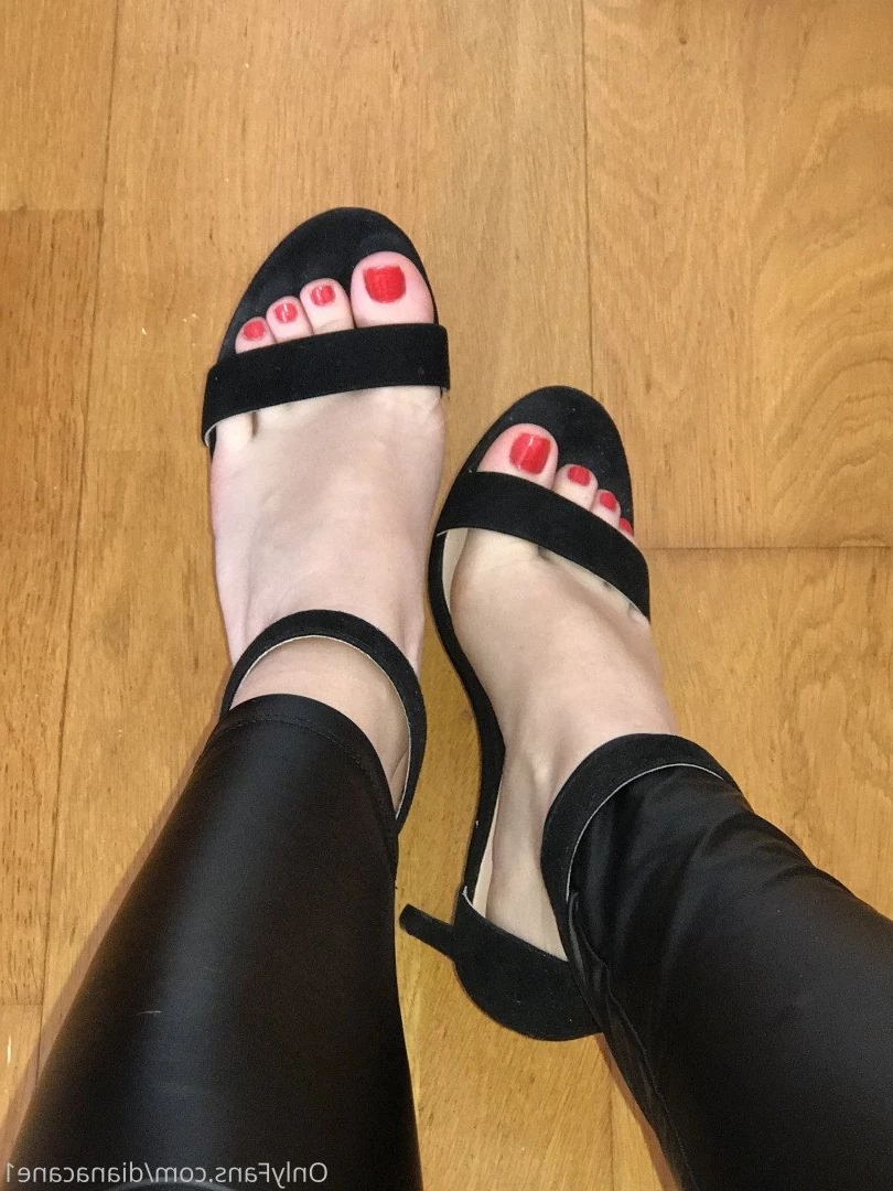 GODDESS DIANA 😏 fetish lover 👅 [ dianacane1 ] Onlyfans leaked photo 5119260 on Hotleaks.tv