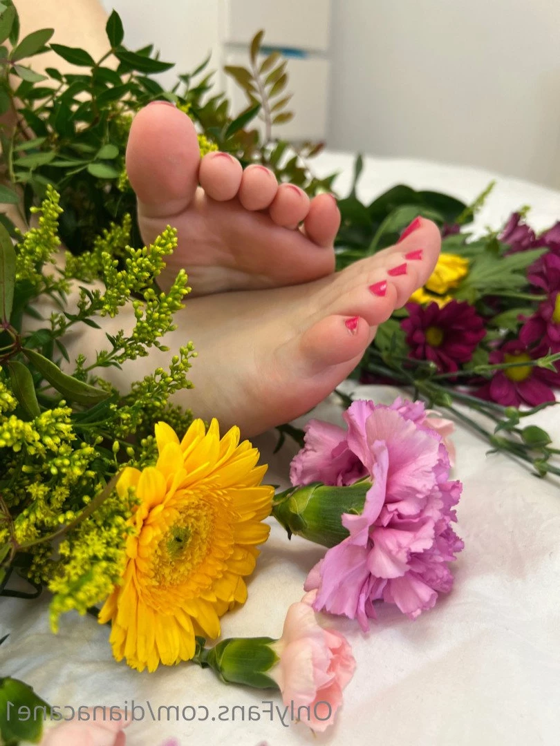GODDESS DIANA 😏 fetish lover 👅 [ dianacane1 ] Onlyfans leaked photo 5119323 on Hotleaks.tv