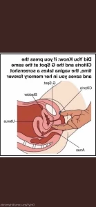 5123767