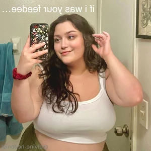 15317714