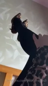 10578657