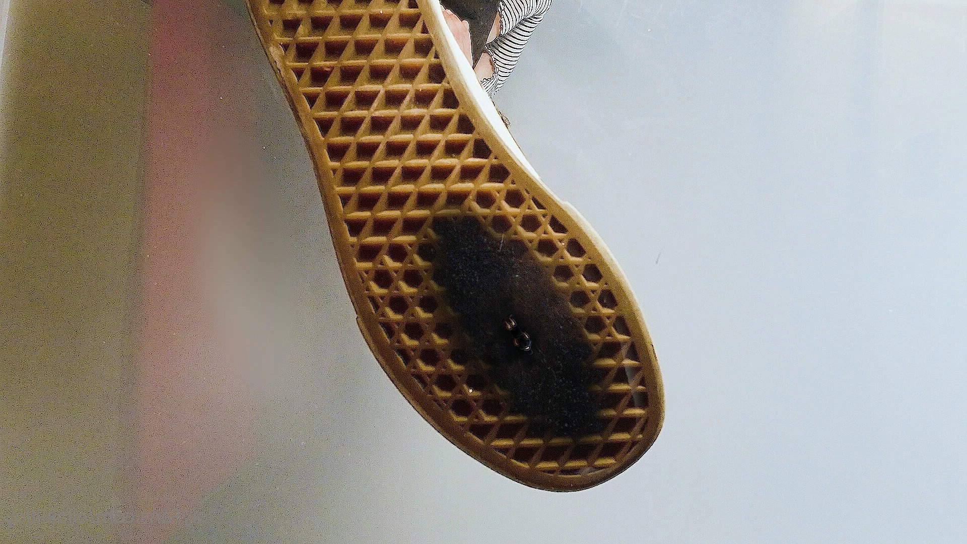 Giantess Ella [ ellakilljoy ] Onlyfans leaked photo 5087233 on Hotleaks.tv