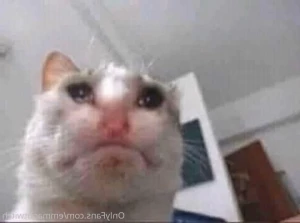 5080605