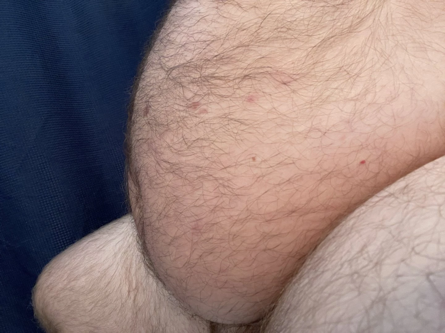 Big Fat Bear [ eyesup305 ] Onlyfans leaked photo 5078852 on Hotleaks.tv