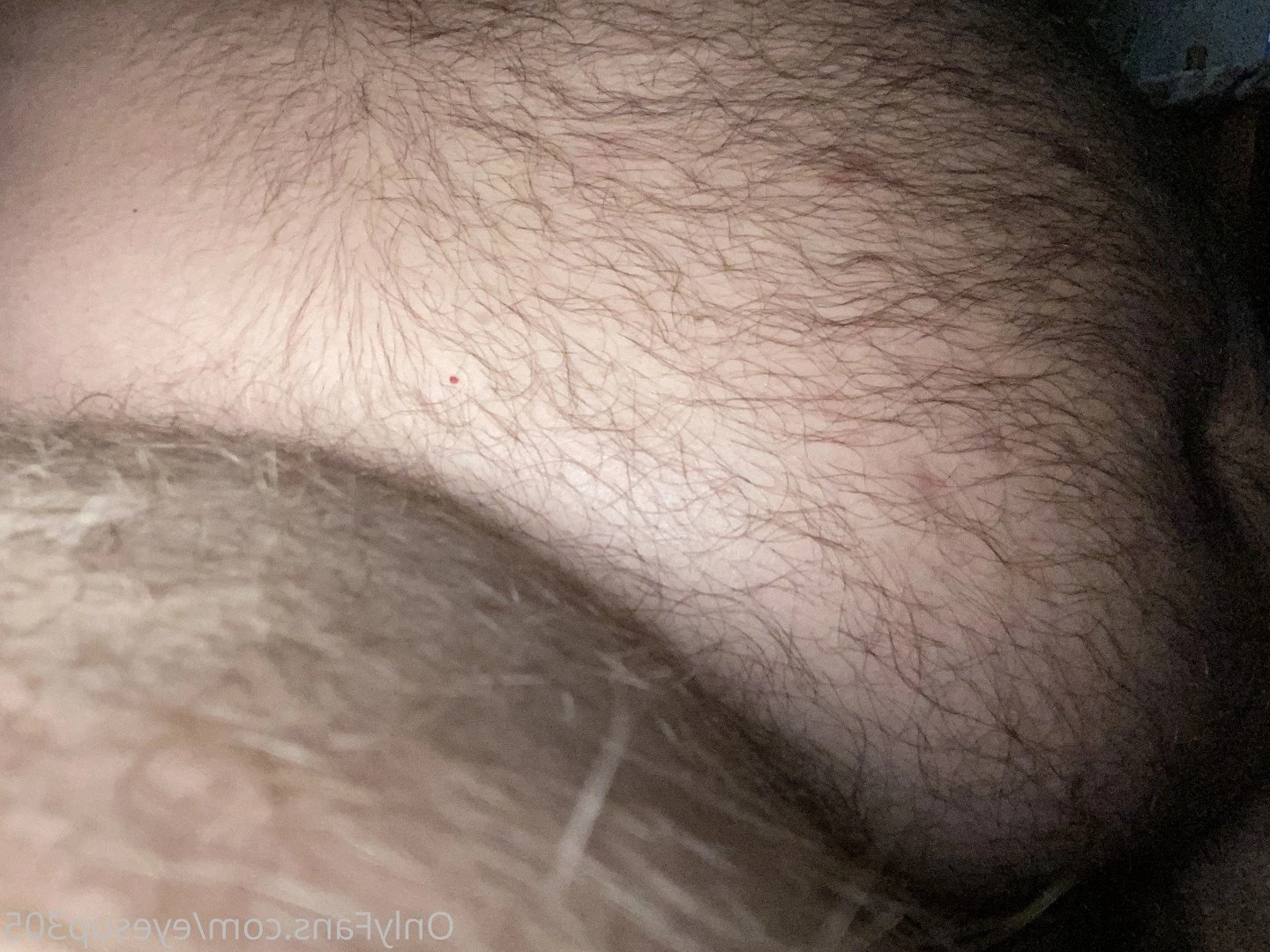 Big Fat Bear [ eyesup305 ] Onlyfans leaked photo 5079611 on Hotleaks.tv