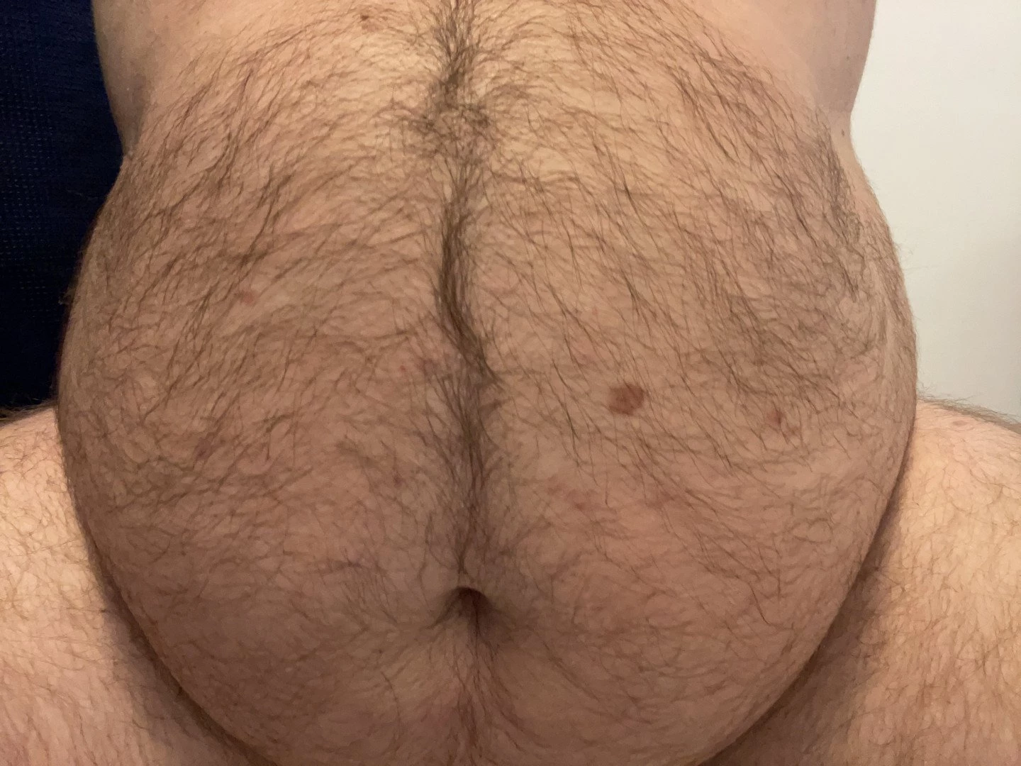 Big Fat Bear [ eyesup305 ] Onlyfans leaked photo 5081229 on Hotleaks.tv