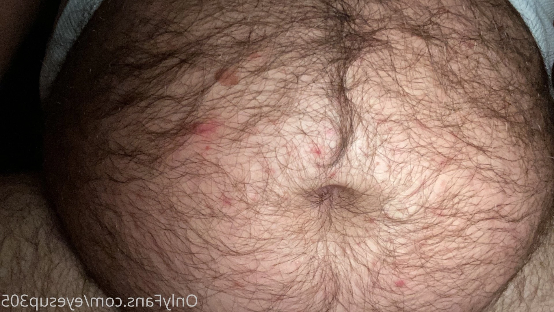 Big Fat Bear [ eyesup305 ] Onlyfans leaked photo 5083252 on Hotleaks.tv