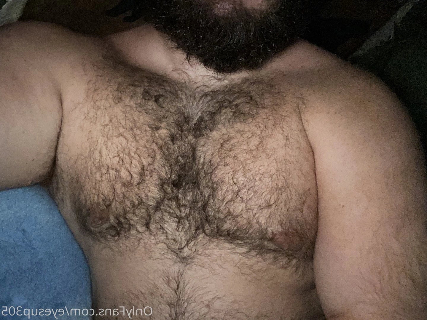 Big Fat Bear [ eyesup305 ] Onlyfans leaked photo 5083513 on Hotleaks.tv