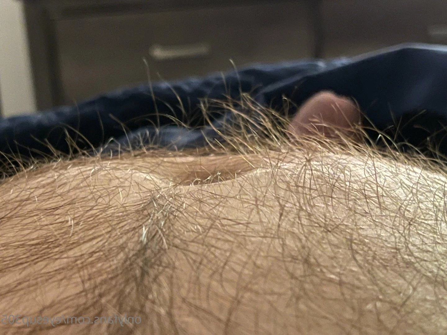 Big Fat Bear [ eyesup305 ] Onlyfans leaked photo 5083933 on Hotleaks.tv