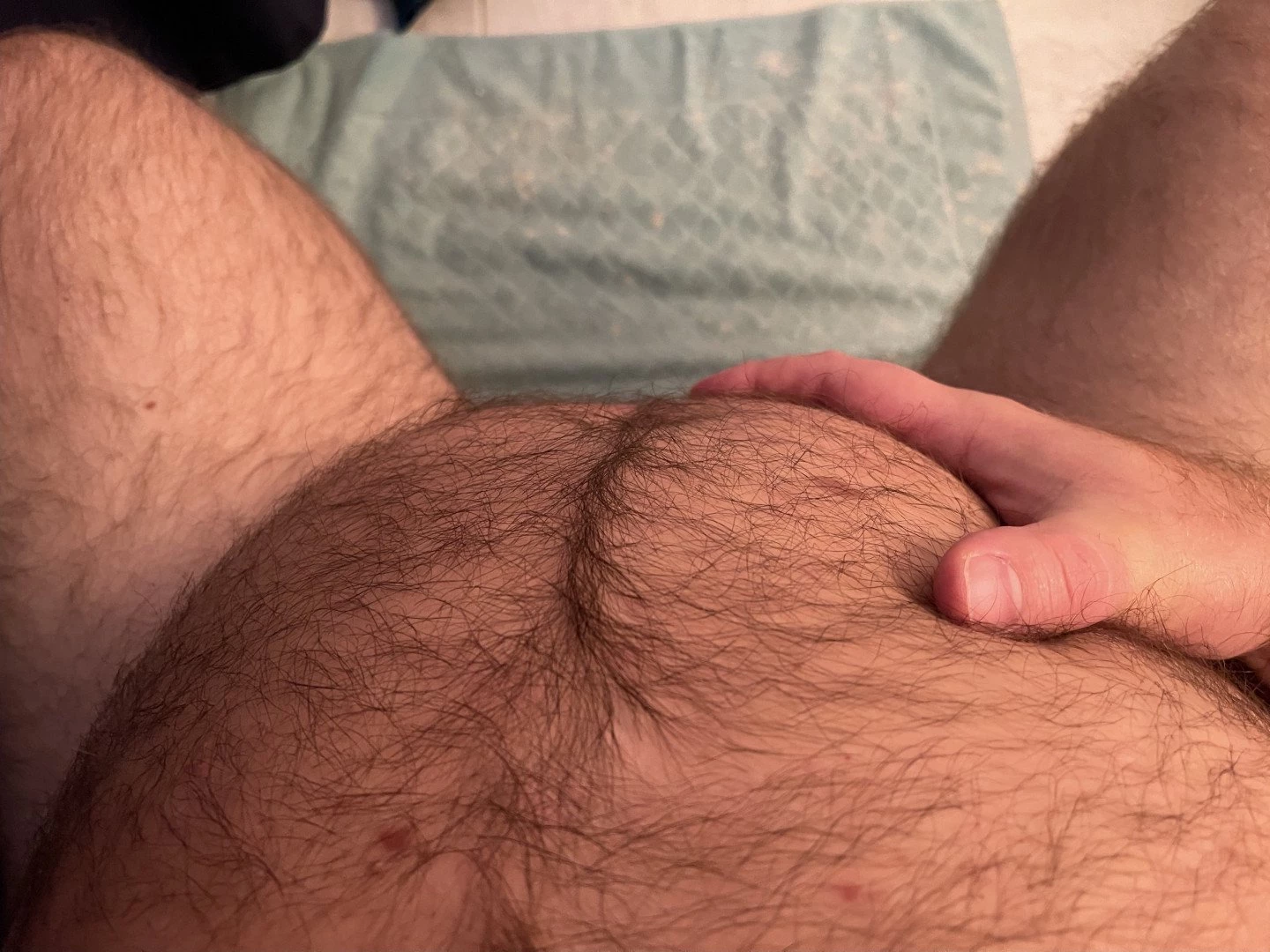 Big Fat Bear [ eyesup305 ] Onlyfans leaked photo 5085999 on Hotleaks.tv