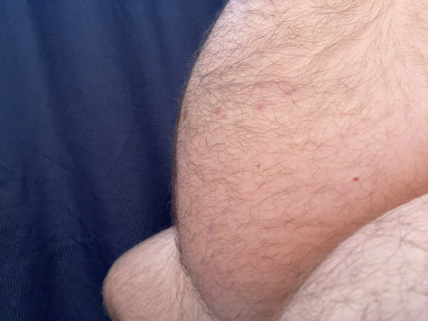 Big Fat Bear [ eyesup305 ] Onlyfans leaked photo 5086154 on Hotleaks.tv