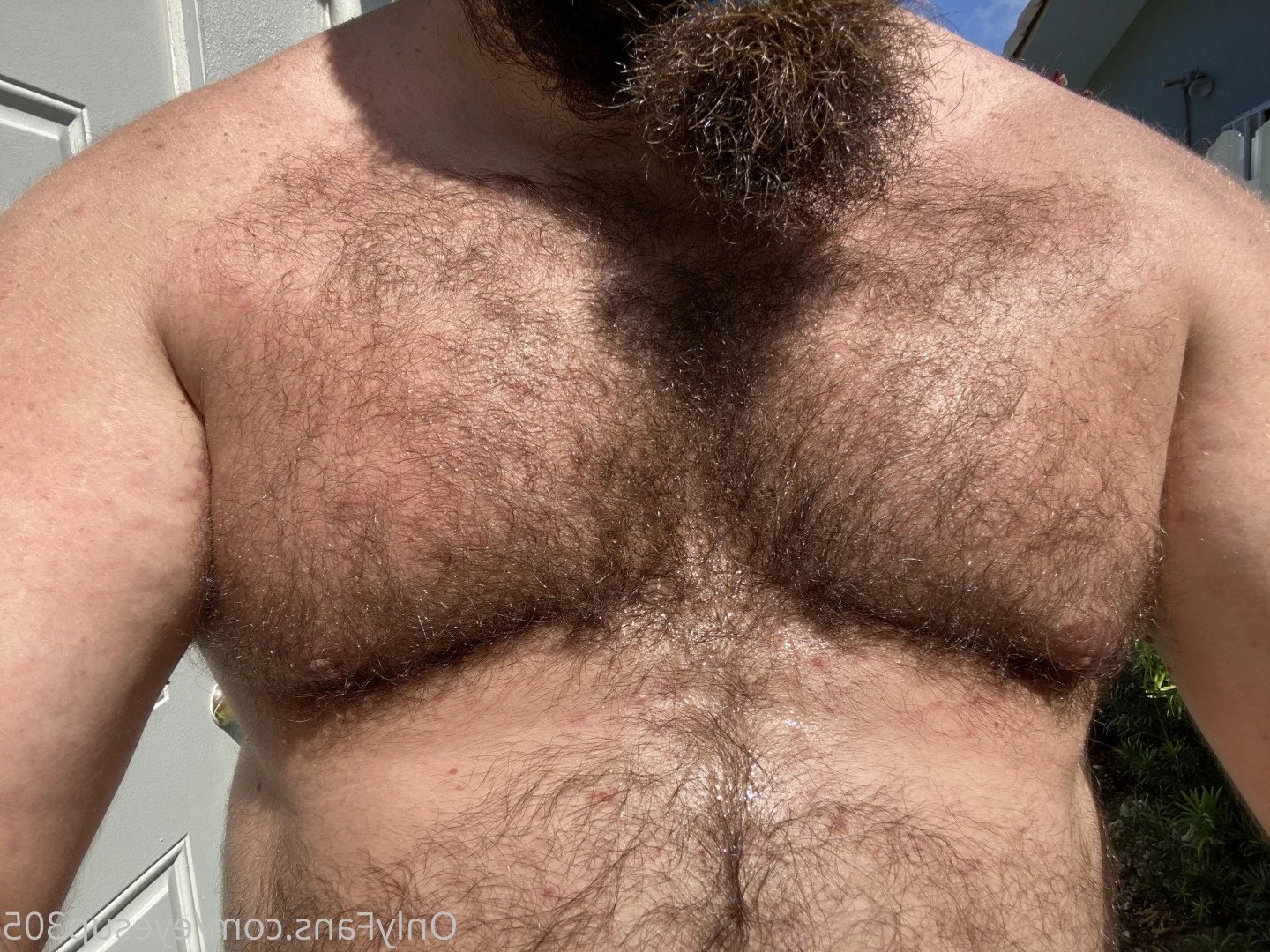 Big Fat Bear [ eyesup305 ] Onlyfans leaked photo 5086183 on Hotleaks.tv