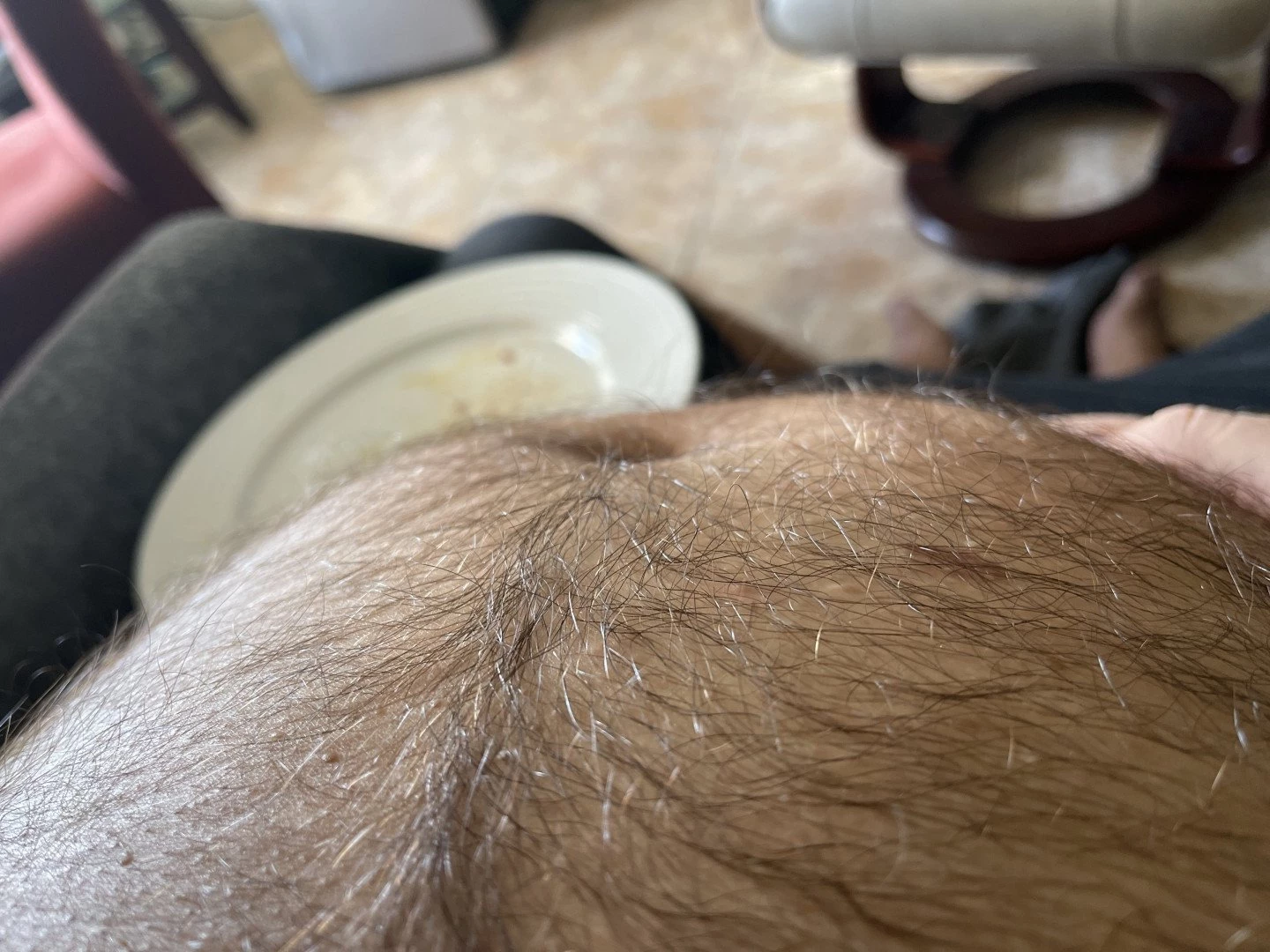 Big Fat Bear [ eyesup305 ] Onlyfans leaked photo 5088197 on Hotleaks.tv