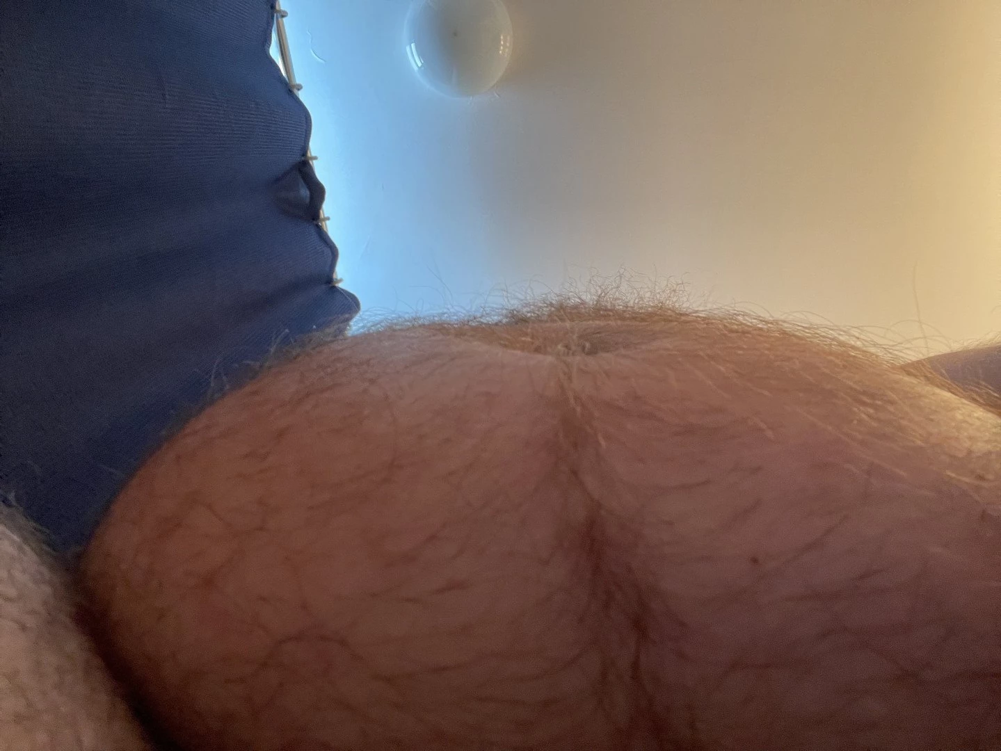 Big Fat Bear [ eyesup305 ] Onlyfans leaked photo 5089531 on Hotleaks.tv