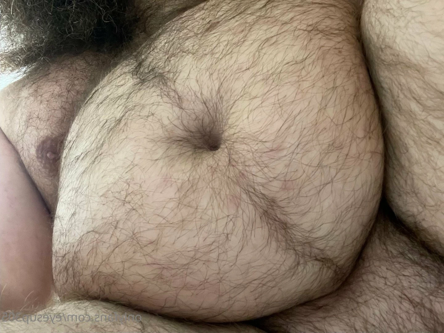Big Fat Bear [ eyesup305 ] Onlyfans leaked photo 5090318 on Hotleaks.tv