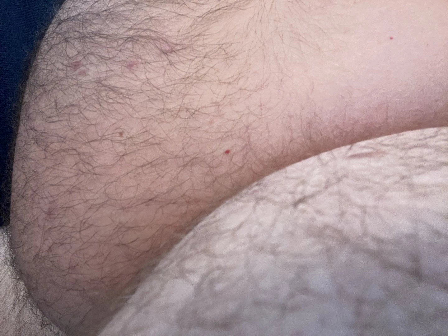 Big Fat Bear [ eyesup305 ] Onlyfans leaked photo 5091531 on Hotleaks.tv