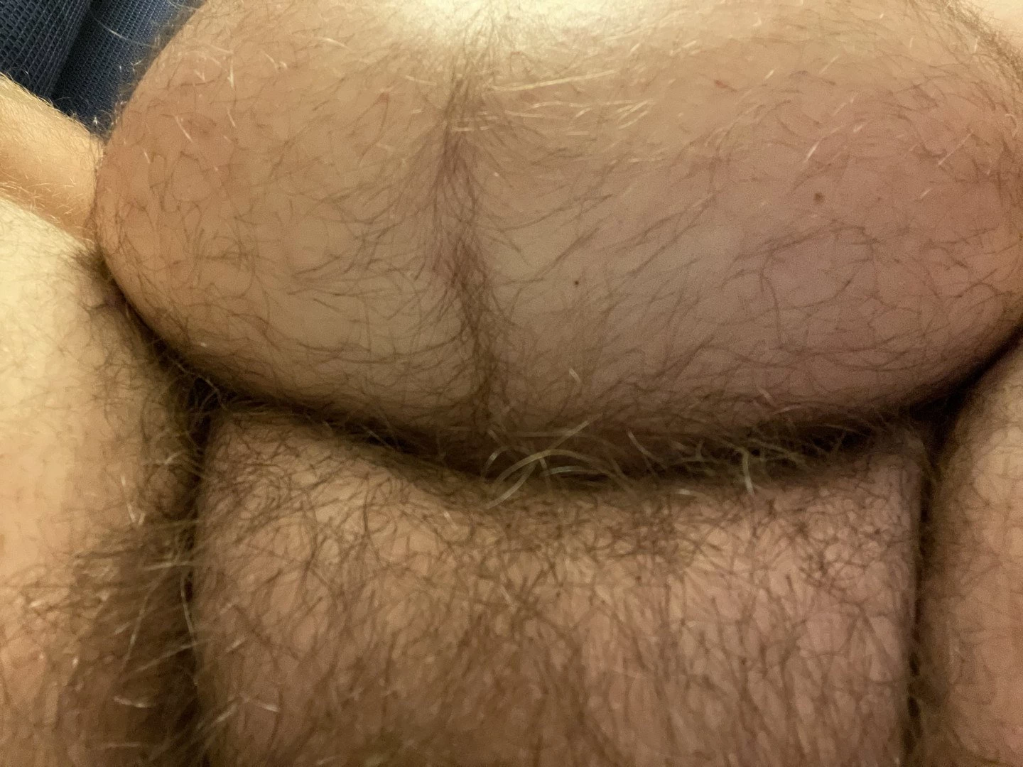 Big Fat Bear [ eyesup305 ] Onlyfans leaked photo 5091816 on Hotleaks.tv