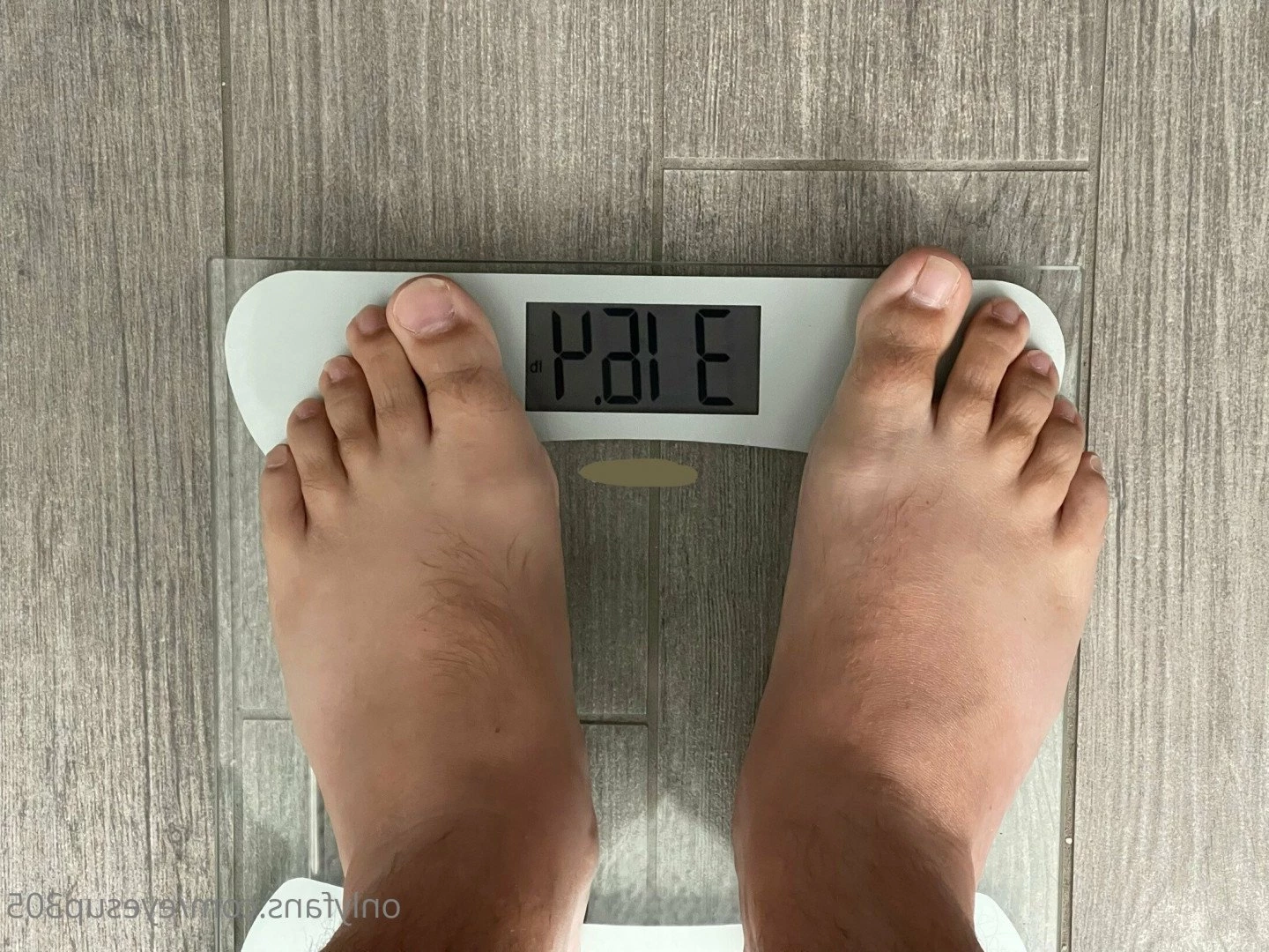 Big Fat Bear [ eyesup305 ] Onlyfans leaked photo 5092331 on Hotleaks.tv