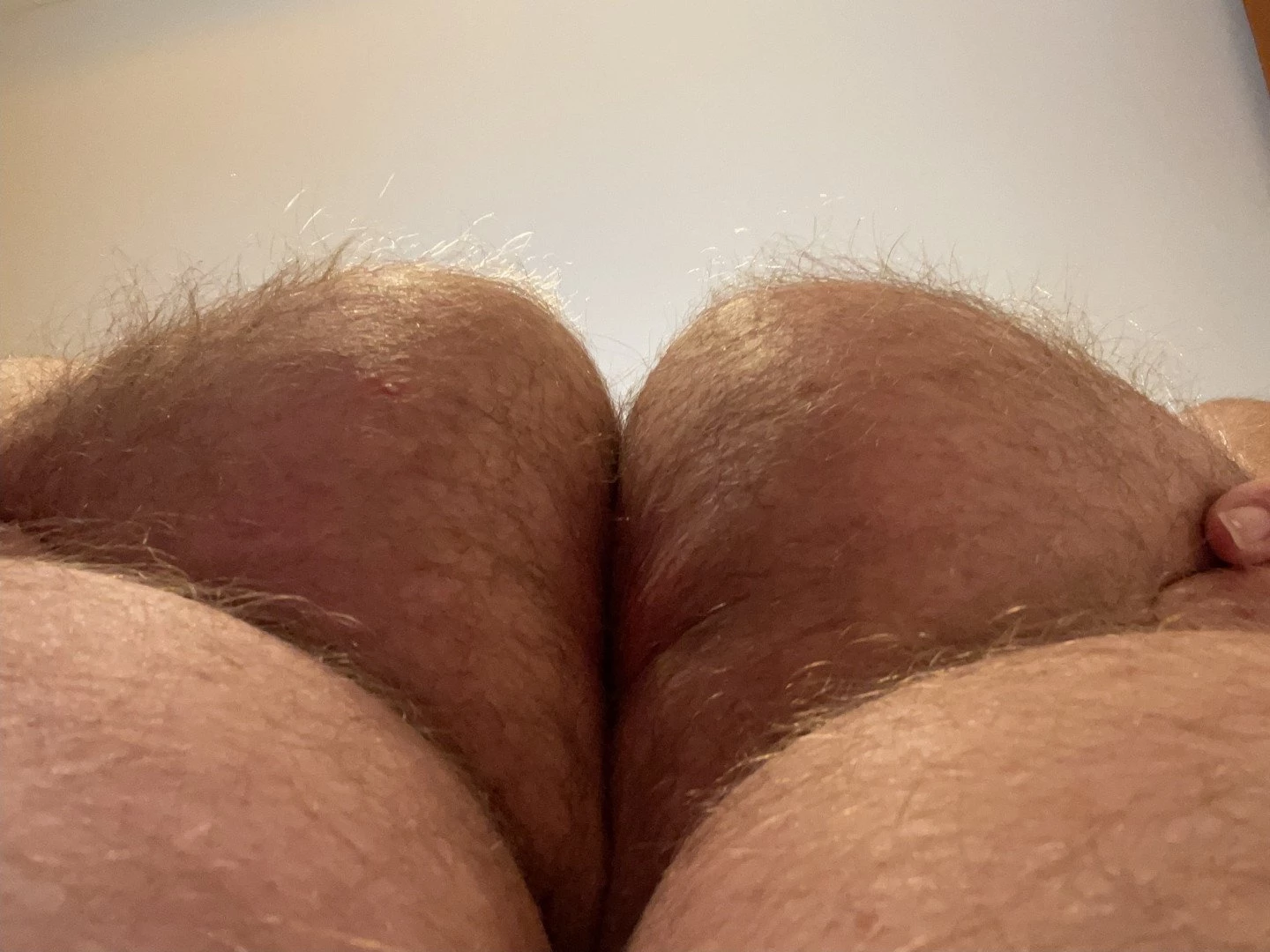 Big Fat Bear [ eyesup305 ] Onlyfans leaked photo 5093793 on Hotleaks.tv