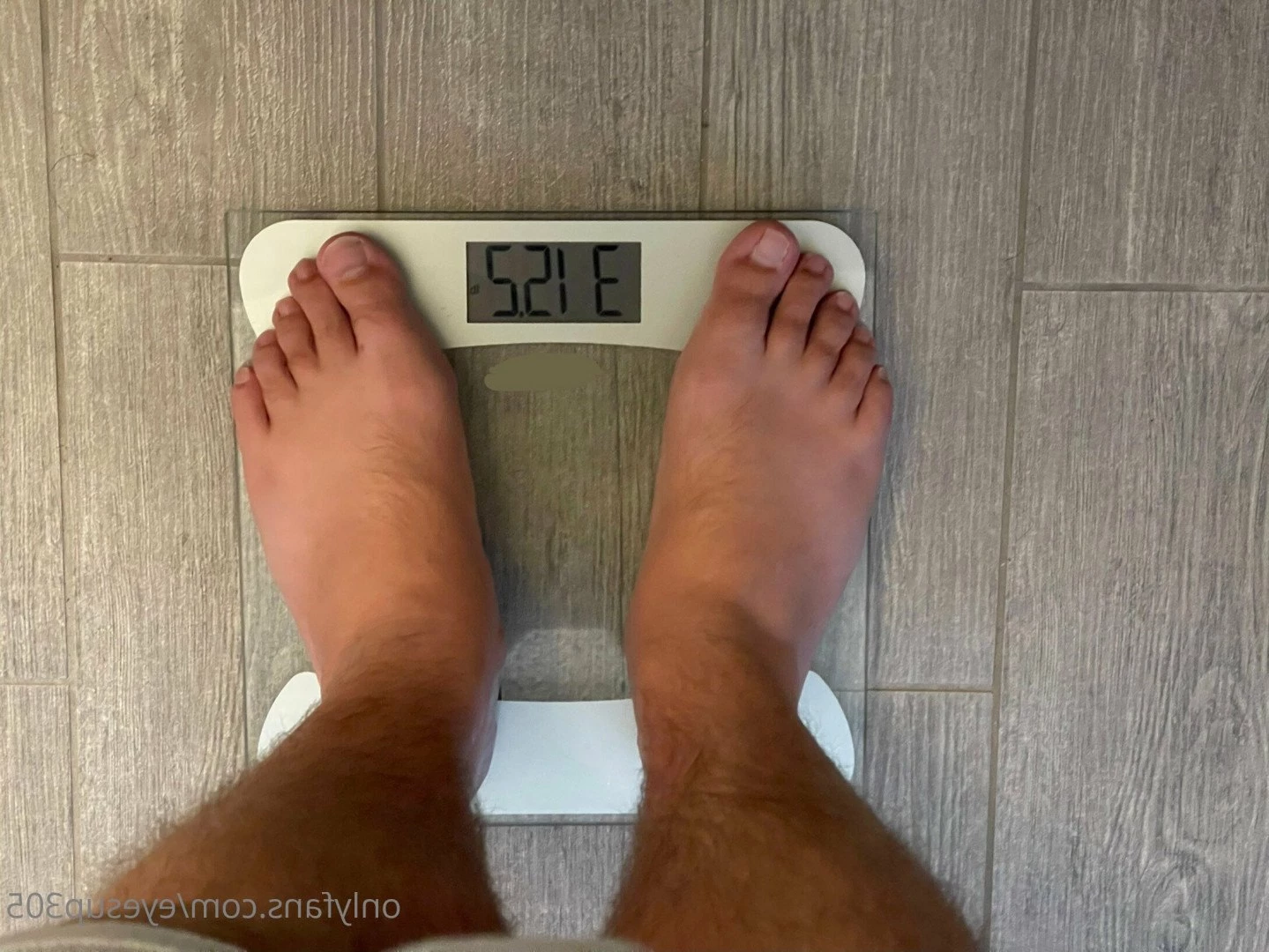 Big Fat Bear [ eyesup305 ] Onlyfans leaked photo 5095357 on Hotleaks.tv