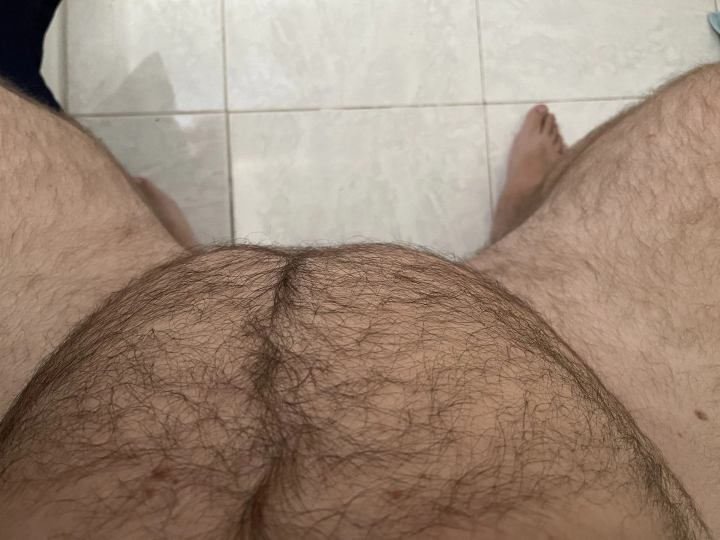 Big Fat Bear [ eyesup305 ] Onlyfans leaked photo 5096518 on Hotleaks.tv