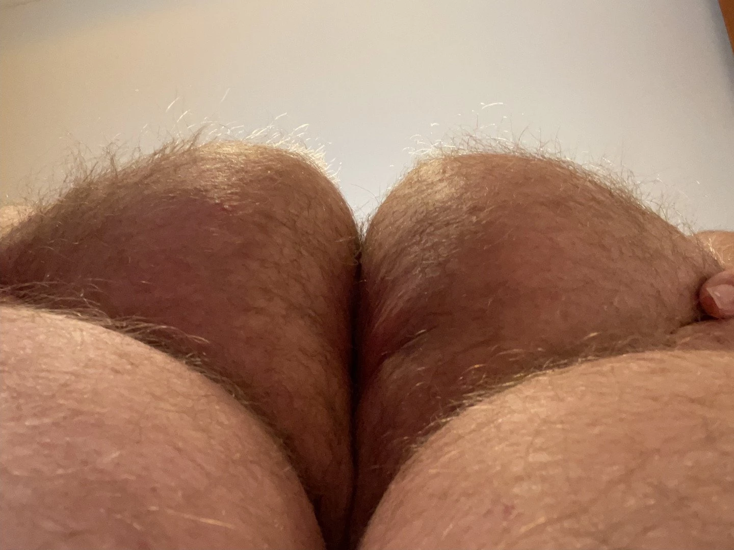 Big Fat Bear [ eyesup305 ] Onlyfans leaked photo 5099227 on Hotleaks.tv