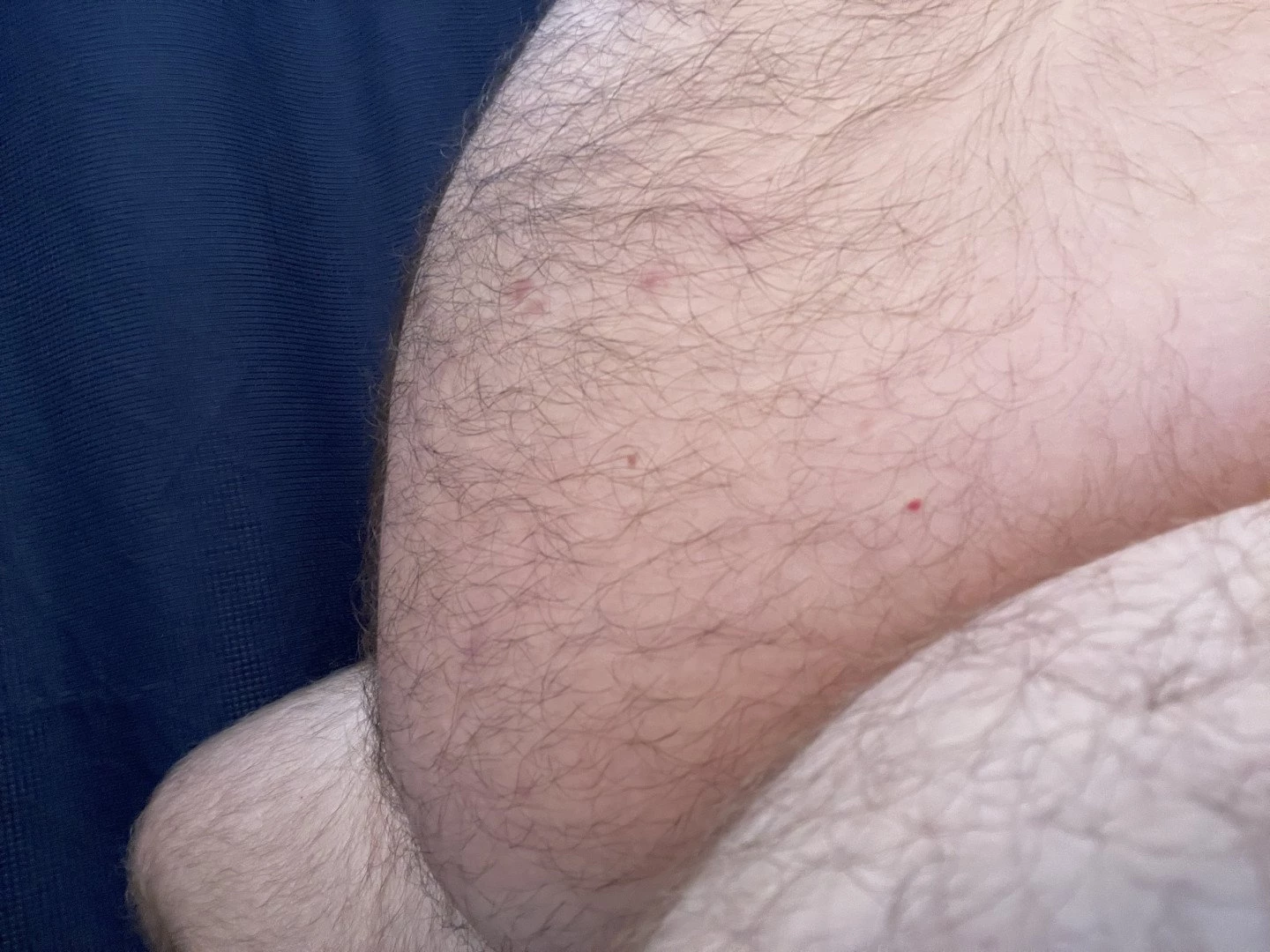 Big Fat Bear [ eyesup305 ] Onlyfans leaked photo 5099668 on Hotleaks.tv