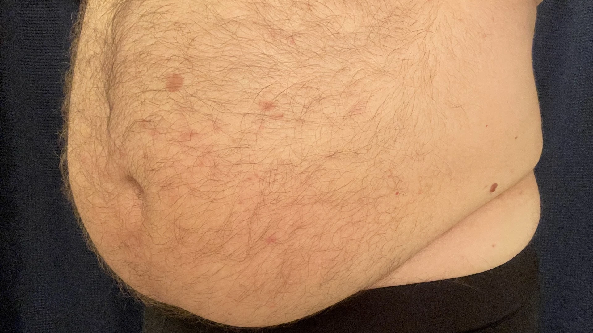 Big Fat Bear [ eyesup305 ] Onlyfans leaked photo 5100315 on Hotleaks.tv