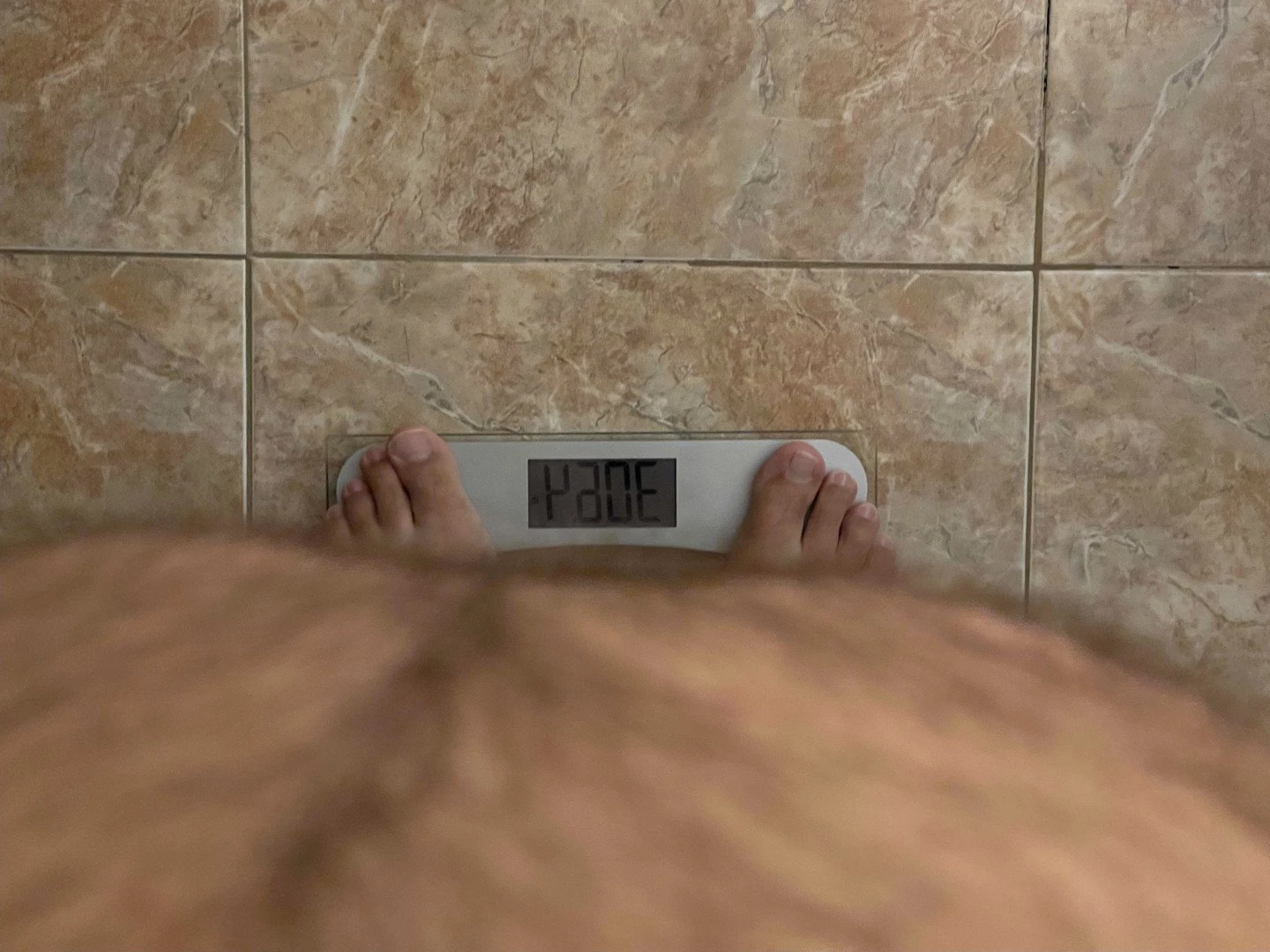 Big Fat Bear [ eyesup305 ] Onlyfans leaked photo 5101308 on Hotleaks.tv