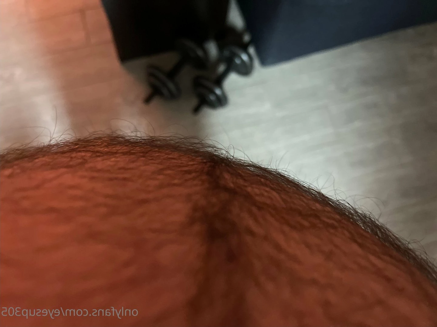 Big Fat Bear [ eyesup305 ] Onlyfans leaked photo 5101454 on Hotleaks.tv