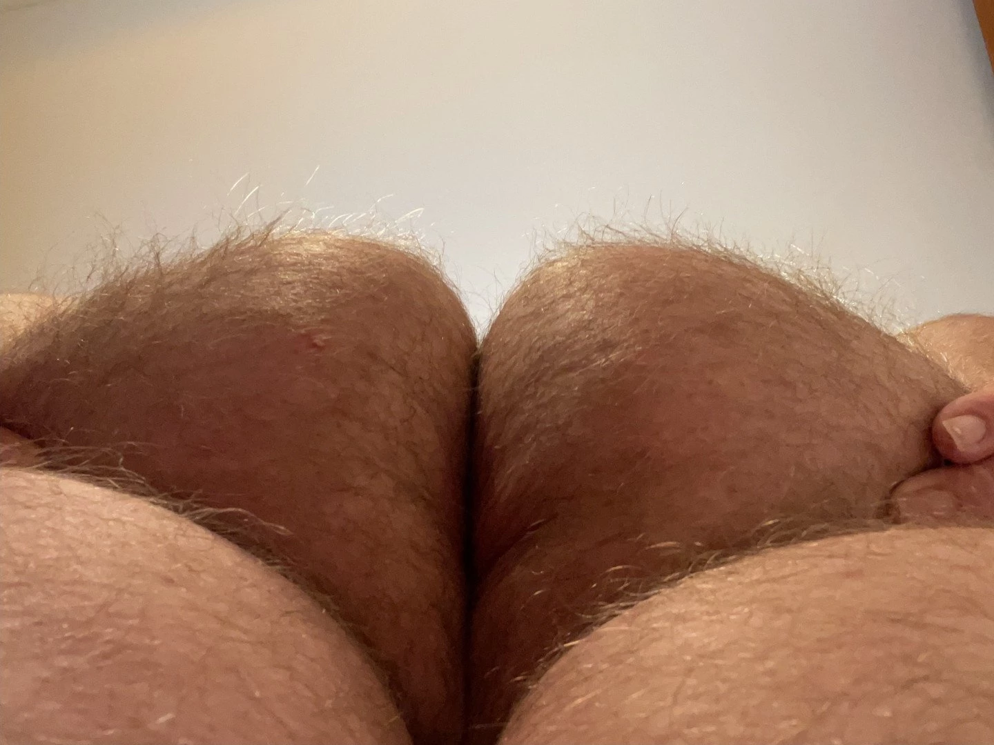 Big Fat Bear [ eyesup305 ] Onlyfans leaked photo 5101518 on Hotleaks.tv