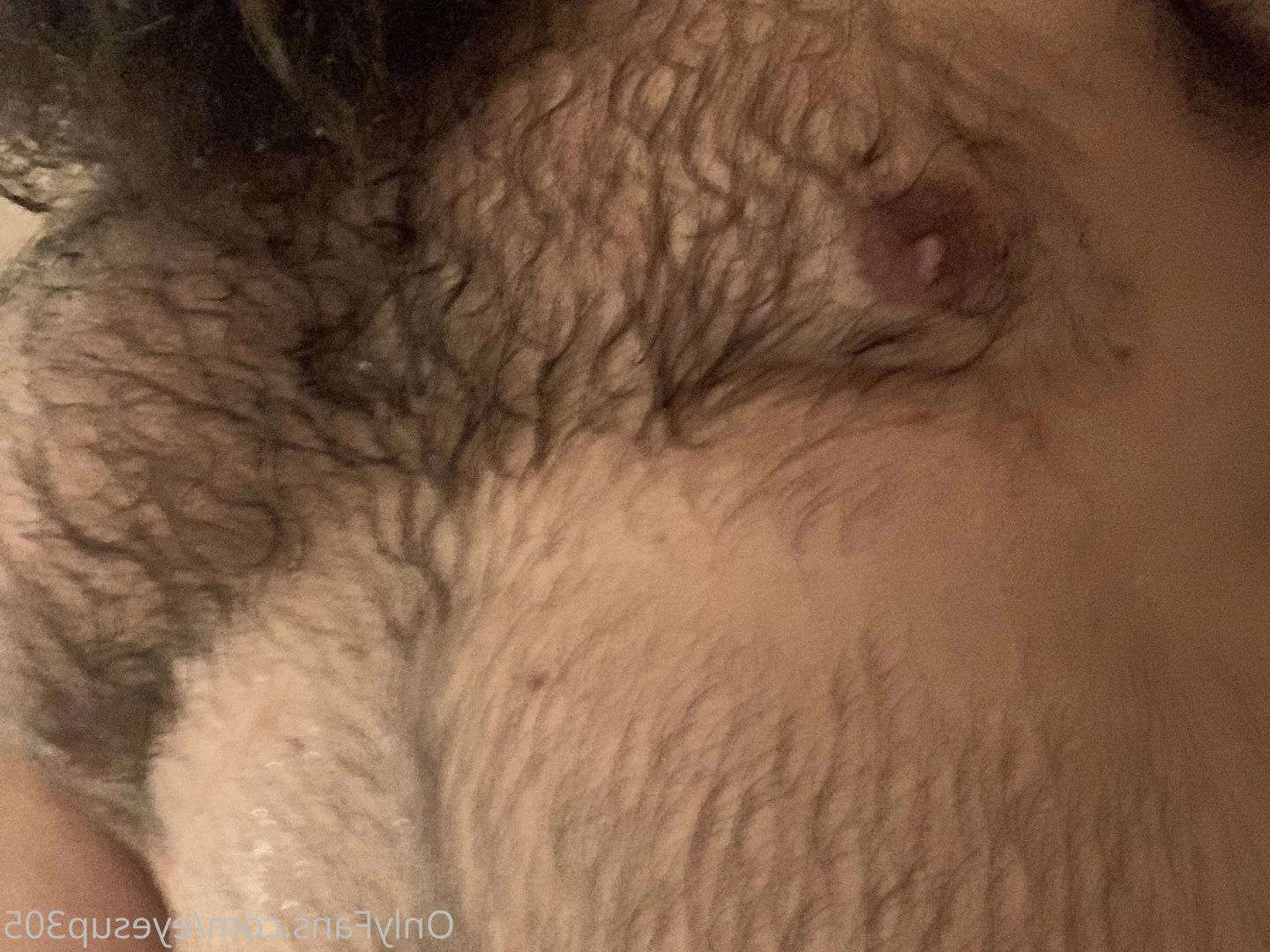 Big Fat Bear [ eyesup305 ] Onlyfans leaked photo 5102542 on Hotleaks.tv