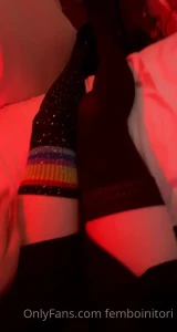 5036803