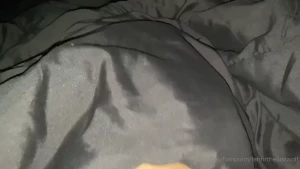 14982682