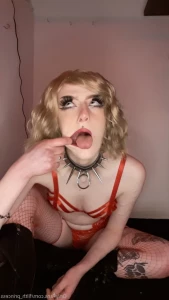 15541490