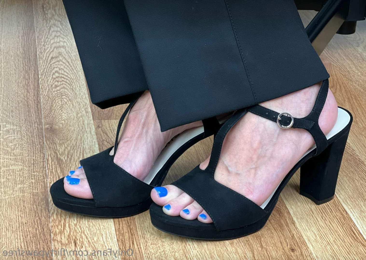 Flirty Paws FREE [ flirtypawsfree ] Onlyfans leaked photo 15319952 on Hotleaks.tv