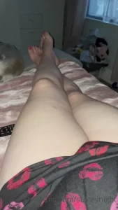 15695183