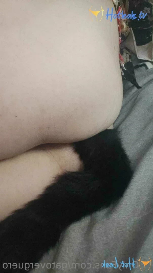 Gato no tan verguero :3 [ gatoverguero ] Onlyfans leaked photo 12887426 on Hotleaks.tv