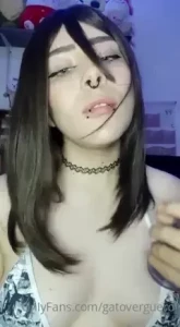 13651507