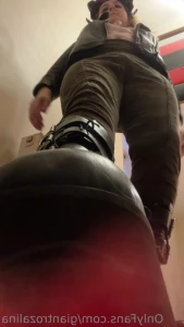 13790275