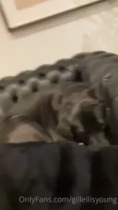 gillellisyoung Onlyfans leaked video 18275146 on Hotleaks.tv
