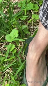 Goddess Tickle-Femdom Foot Goddess [ goddess_tickle ] Onlyfans leaked video 5084239 on Hotleaks.tv